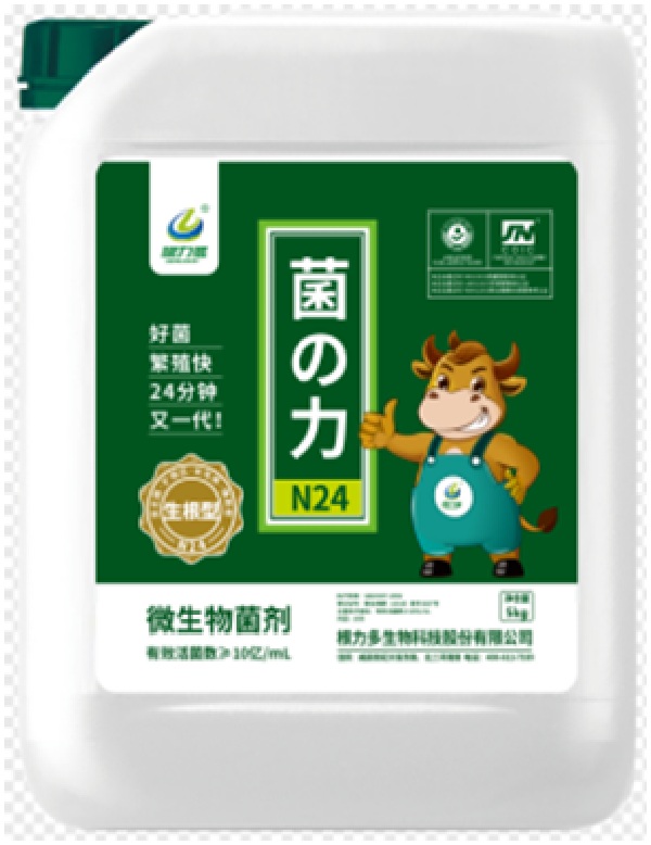 Jun zhili( Rooting type)