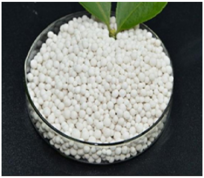 Zinc Sulphate Monohydrate Granular