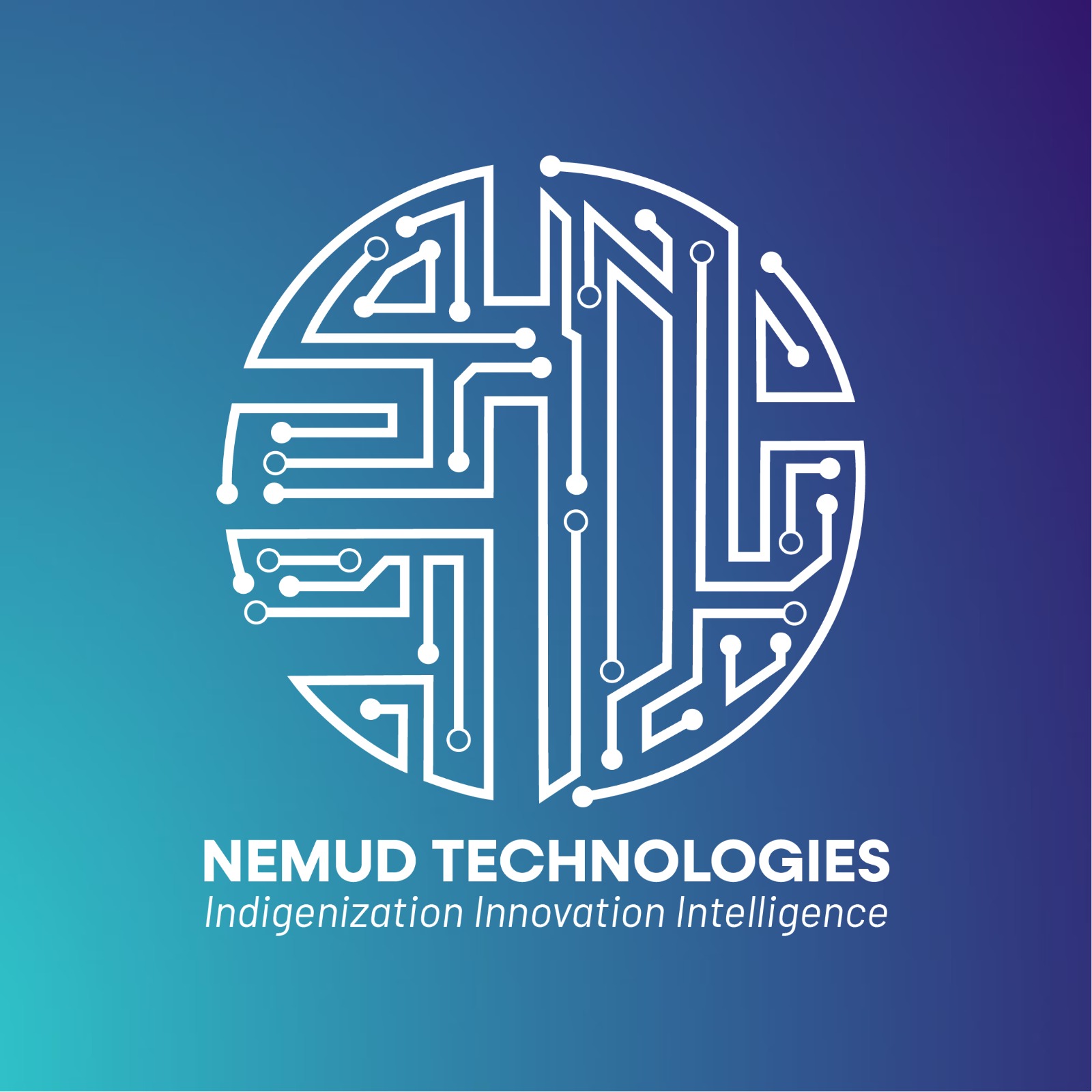 NEMUD TECHNOLOGIES (PRIVATE) LIMITED