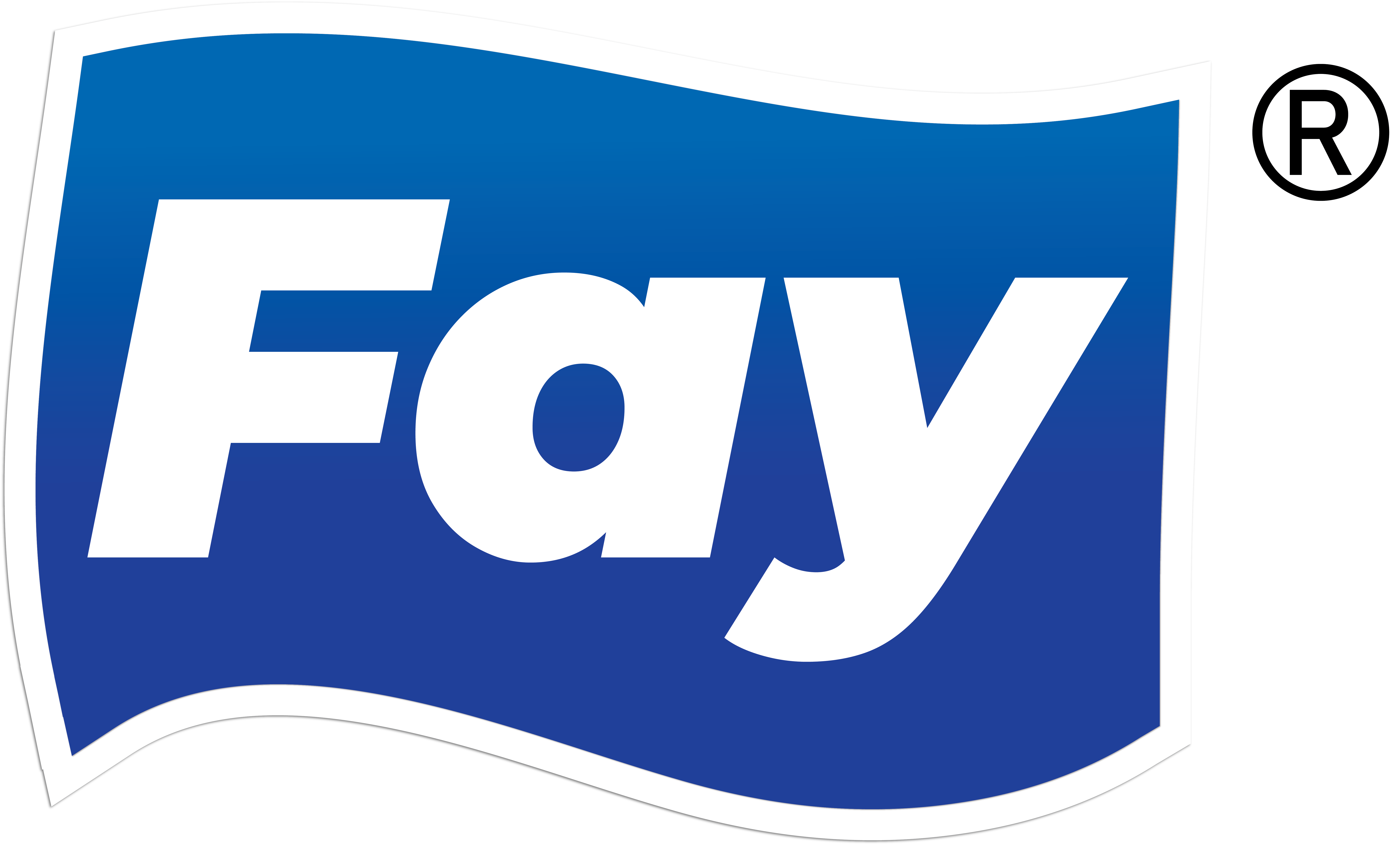 CONVERTERS INTERNATIONAL /FAY TISSUE