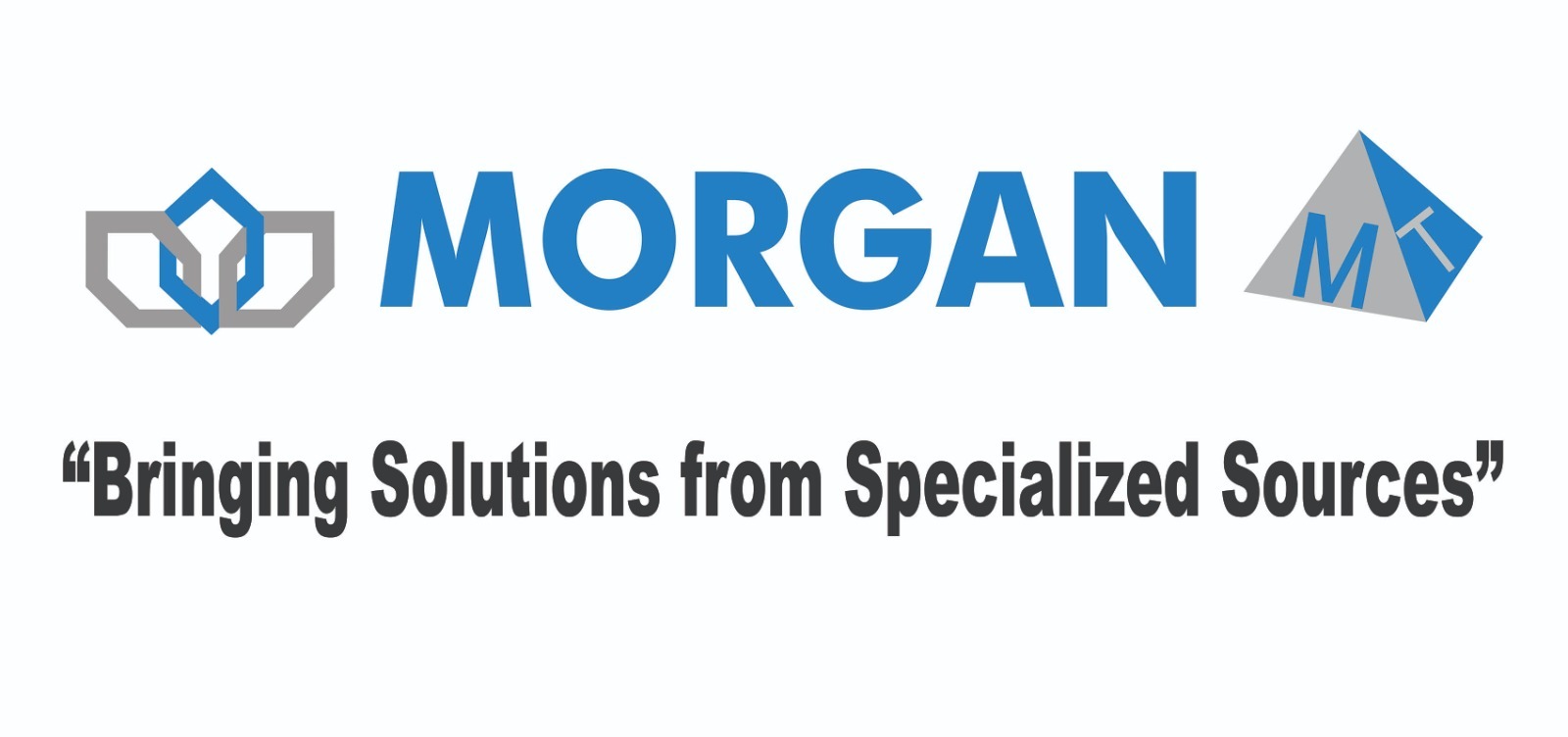 MORGAN CHEMICALS