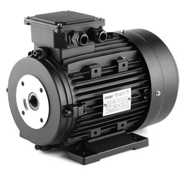 hollw-shaft-motor-107090