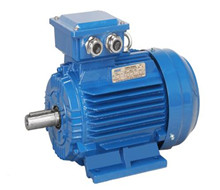 MS Series Three Phase Induction Motor