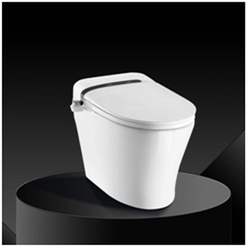 smart-toilet-107978