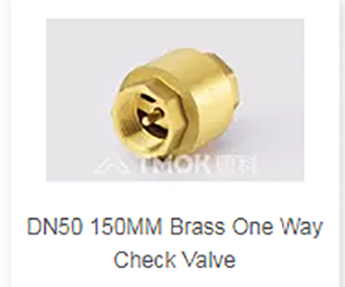 DN50 150MM Brass One Way Check Valve