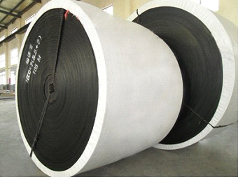 Polyester Conveyor Belt(HD-C001)