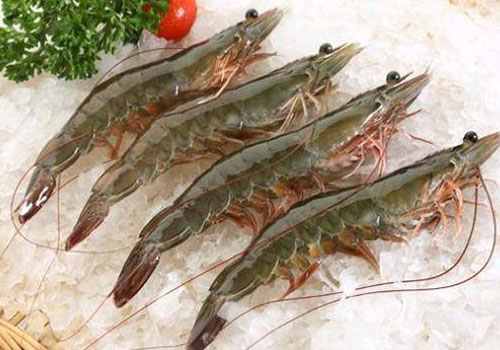 Frozen Vannamei Shrimp