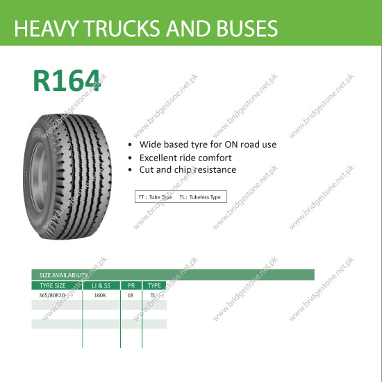 TRUCK AND BUS (TBR/TBS)