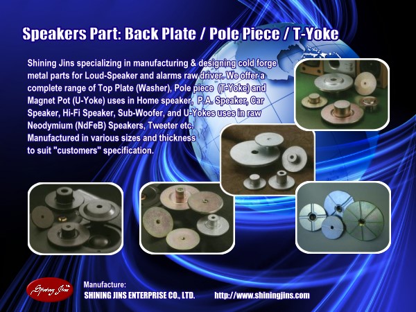 OEM & ODM Customization Speaker Parts T-Yokes and Washers Made in Taiwan