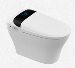 Smart toilet