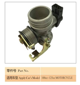 THROTTLE BODY